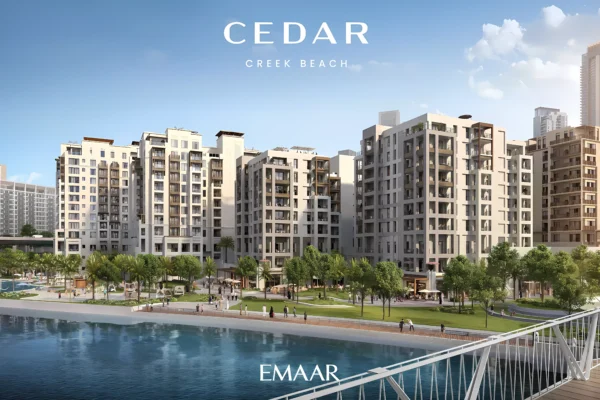 Cedar 7