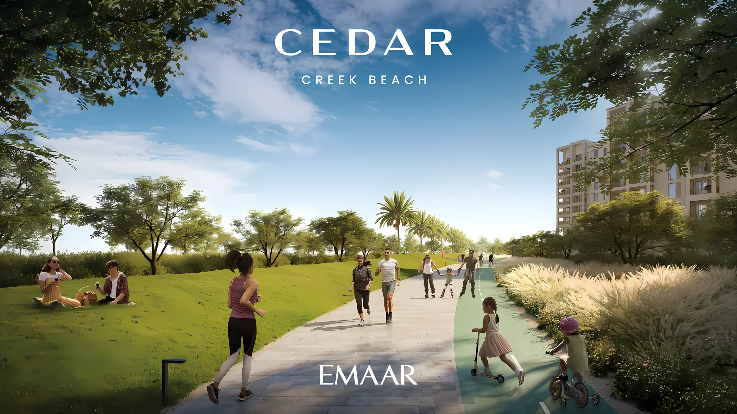 Cedar 8