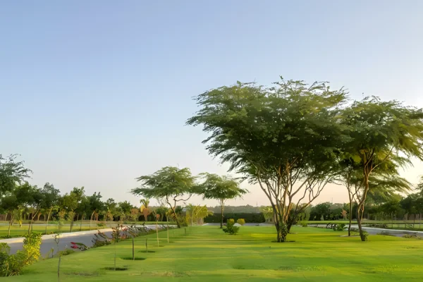 Arabian Hills Estate 14