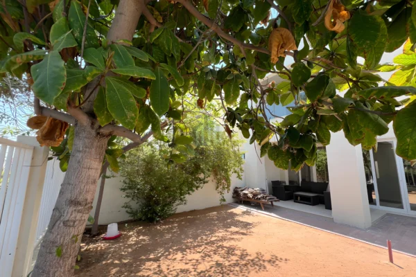 Spacious 2BR+Maid Townhouse | Glass Skylight RAK 10